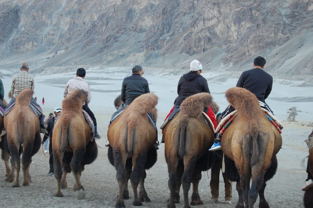 Nubra Valley