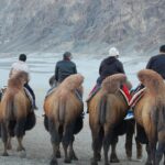 Nubra Valley